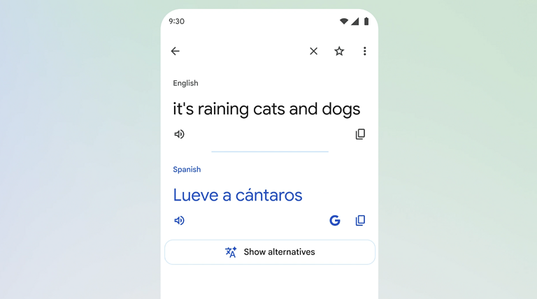 Google Traduttore AI modi di dire