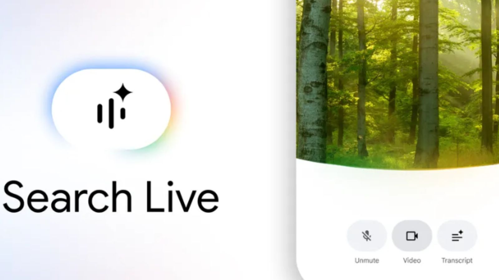 Google Search Live arriva in Italia per tutti e in oltre 200 paesi