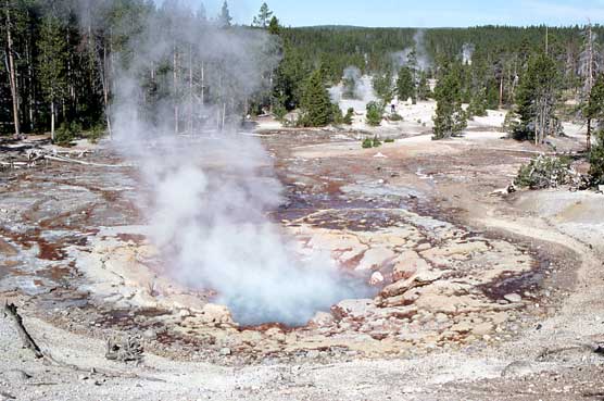 Geyser Echinus Yellowstone