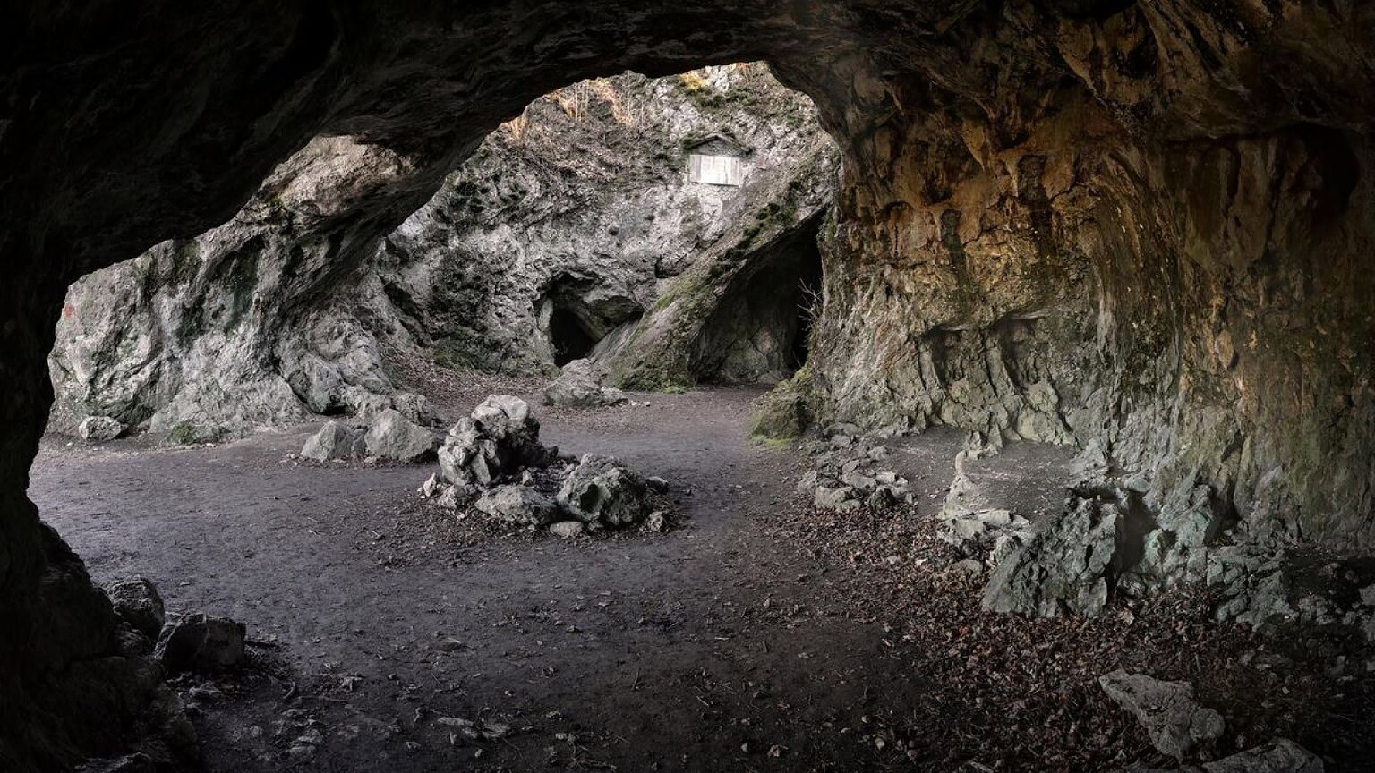 Neanderthal: organizzavano le loro case, ma con una differenza - Neanderthal spazi abitativi