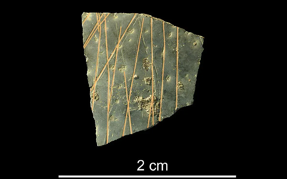 Uova di struzzo incise 60.000 anni fa homo sapiens
