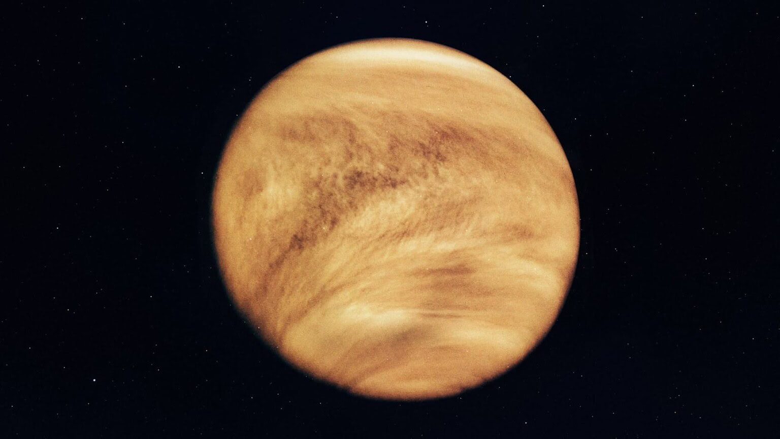 Venere: la vita potrebbe essere arrivata dalla Terra