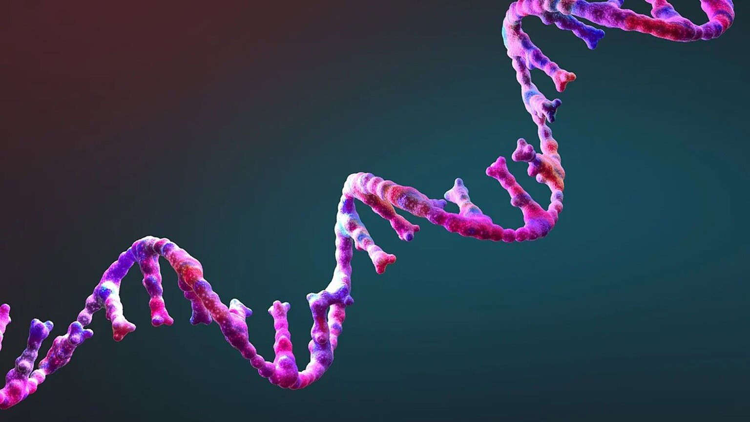 RNA QT45: scoperta la molecola che si avvicina alla replicazione autonoma