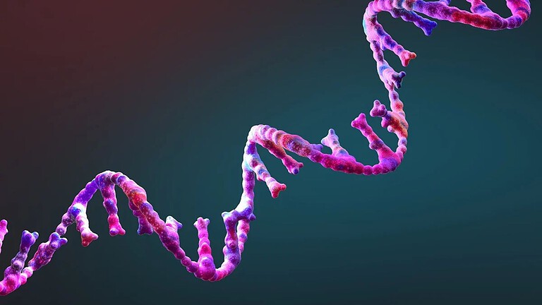 RNA QT45: scoperta la molecola che si avvicina alla replicazione autonoma