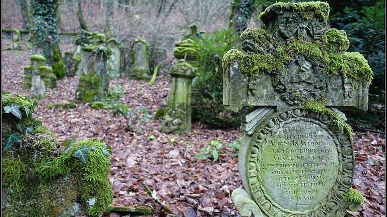 Muschio alleato naturale contro i profanatori di tombe: beccati in quattro