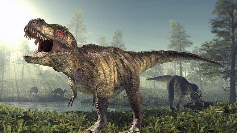 Dinosauri: il T. rex camminava come uno struzzo