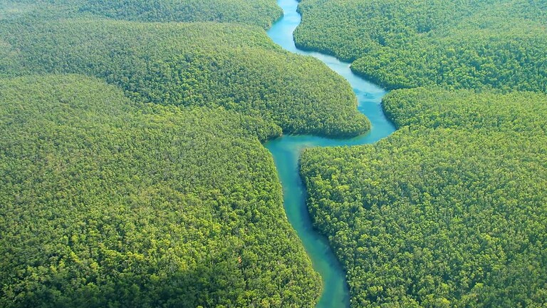 Rio delle Amazzoni: neanche un ponte sul fiume più lungo al mondo, ecco perché