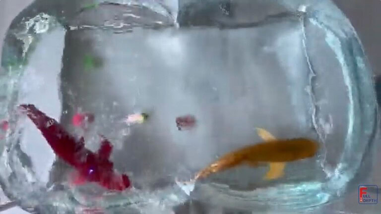 Pesce robot arowana: quasi impossibile distinguerlo da quello vero