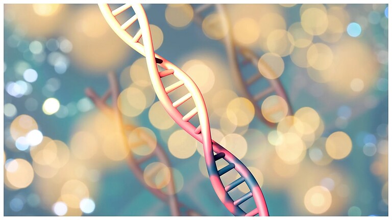 DNA