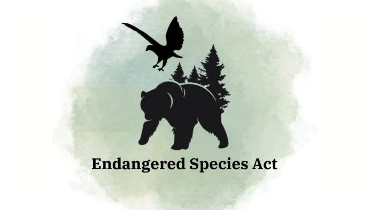 Endangered Species Act