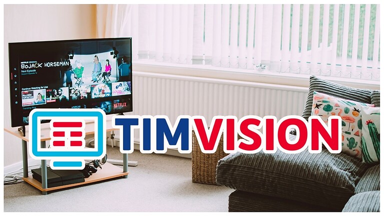 TIMVISION
