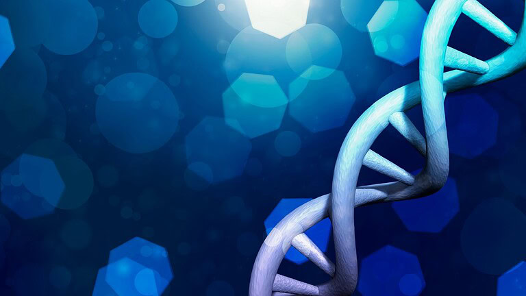 DNA, scoperto un codice segreto che nascosto nel materiale genetico