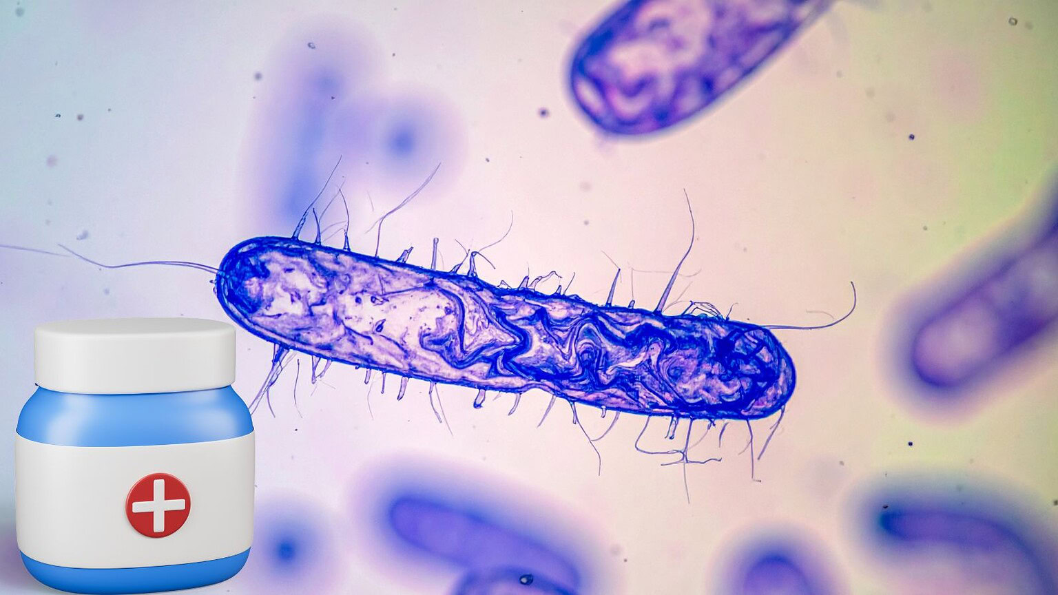 Superbatteri: scoperto il loro tallone d'Achille nella lotta contro l'antibiotico-resistenza