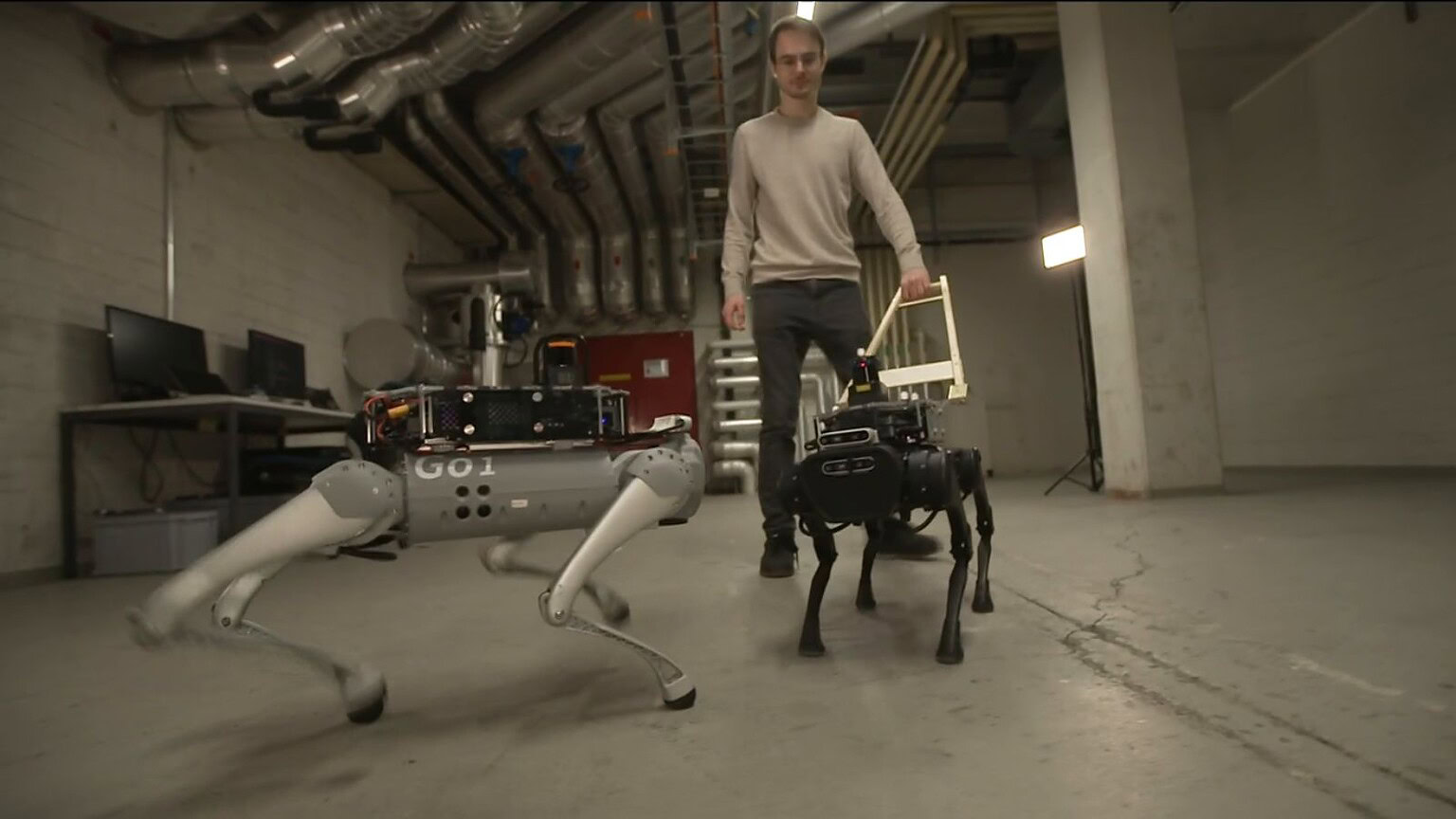 Cani guida robotici con IA: parlano e spiegano il percorso