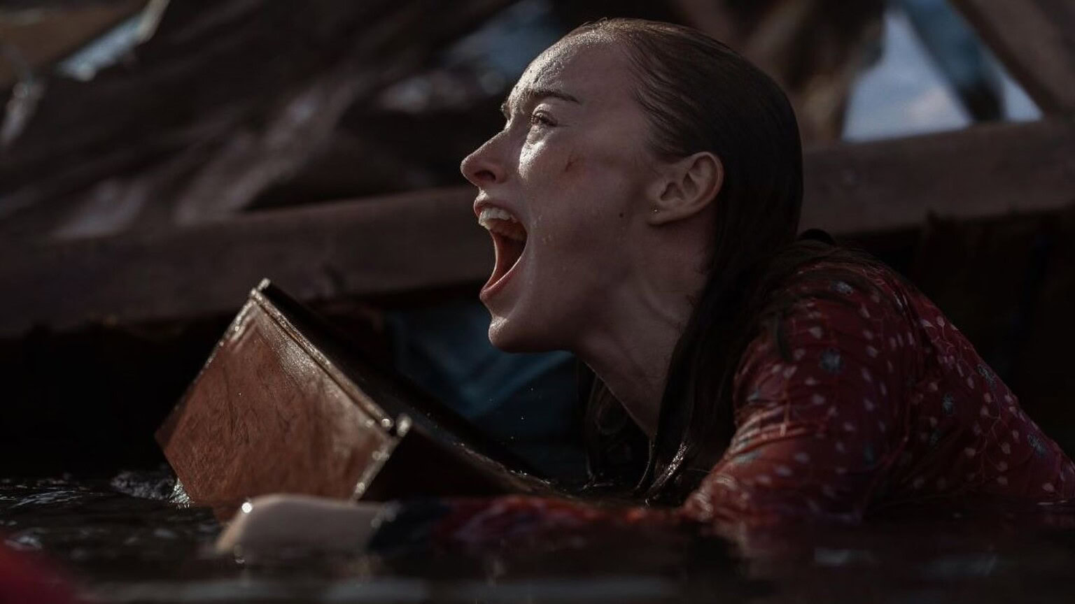 "Thrash: Furia dall'oceano" è ora su Netflix, uno shark movie che non convince