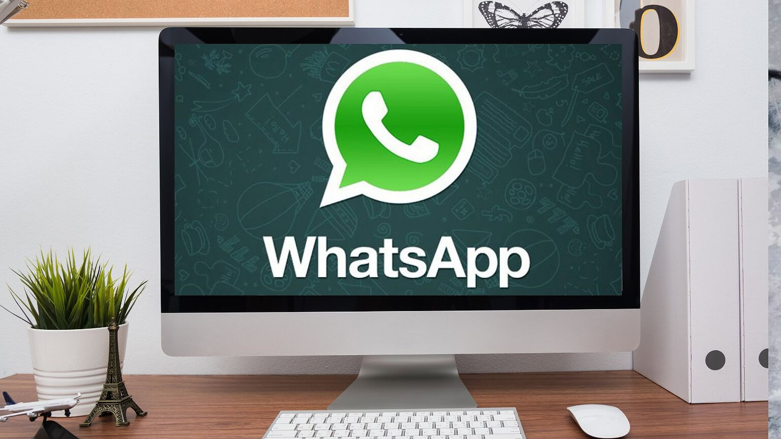 WhatsApp Web: 49 temi colore in arrivo per personalizzare le chat