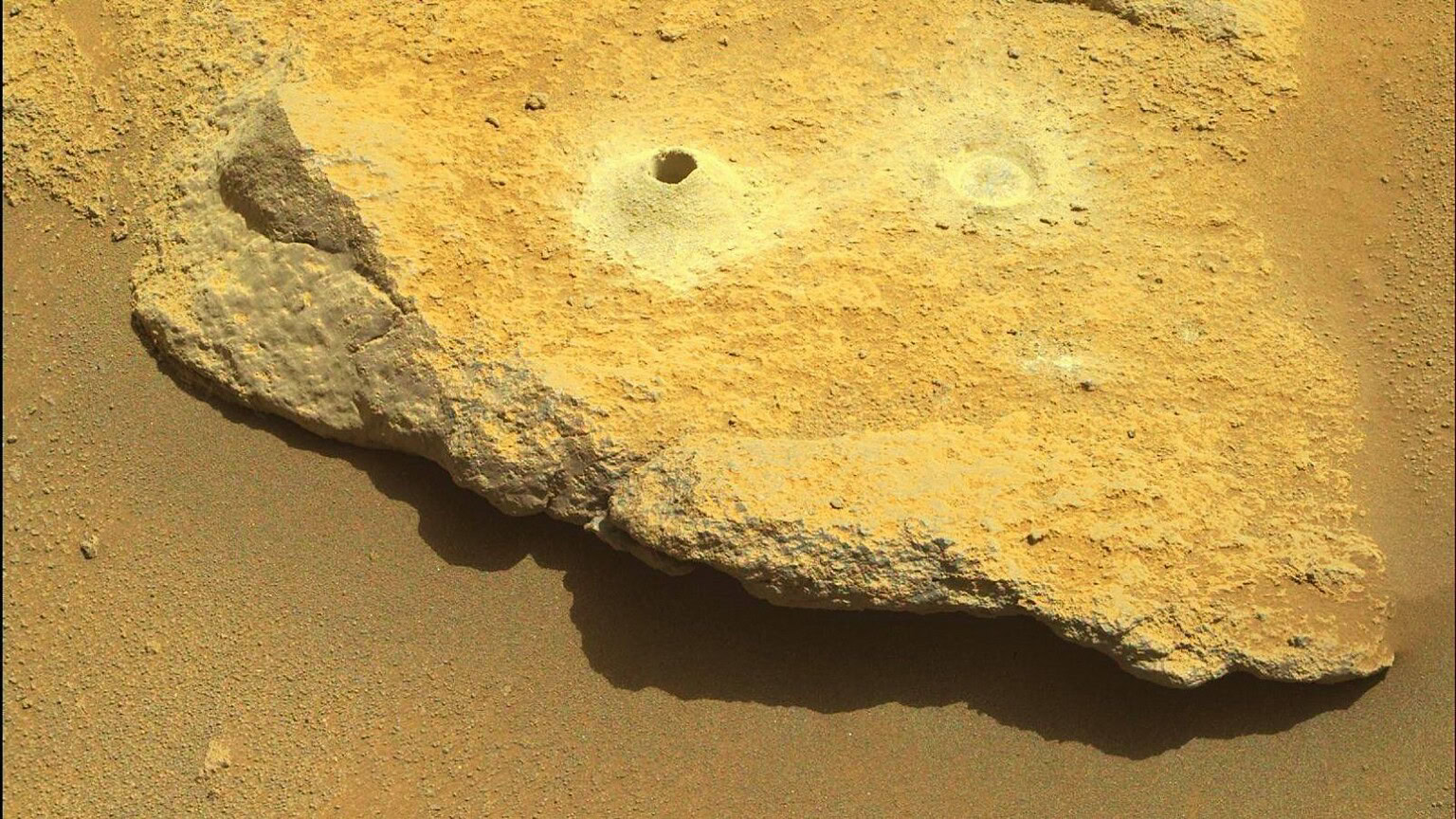 cellule lievito vita su Marte