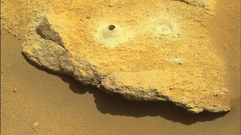 cellule lievito vita su Marte