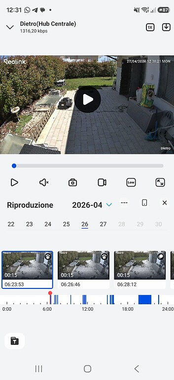 Reolink Solar Floodlight Cam - immagine 11