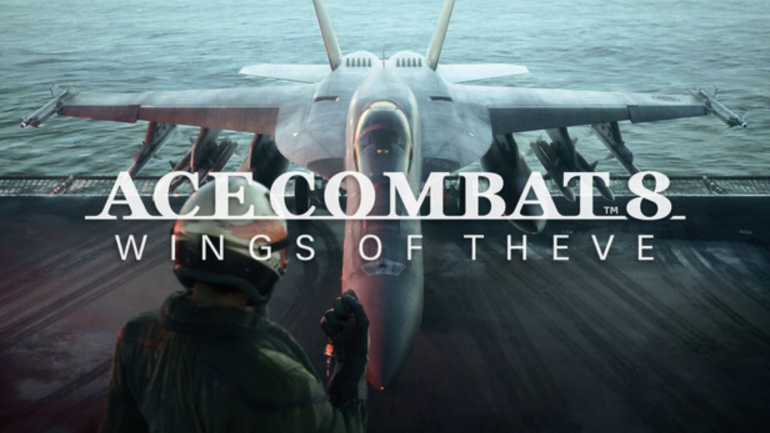 Ace Combat 8 Wings