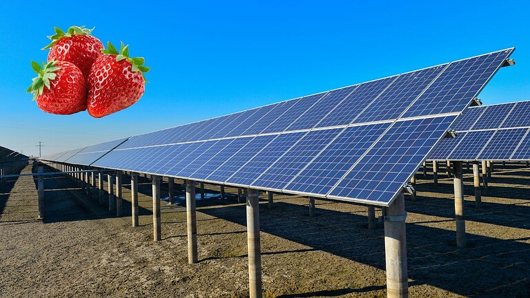 Pannelli fotovoltaici mimetizzati: la tecnologia che imita le tegole