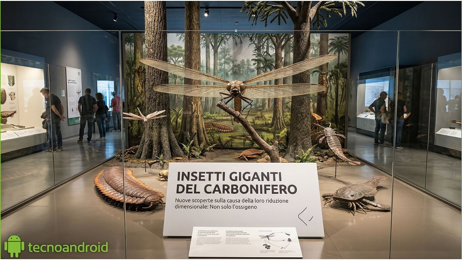 Insetti giganti del Carbonifero: non fu l'ossigeno a farli rimpicciolire