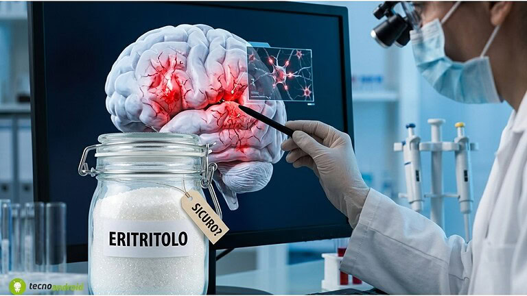 Eritritolo: il dolcificante "sicuro" potrebbe danneggiare il cervello