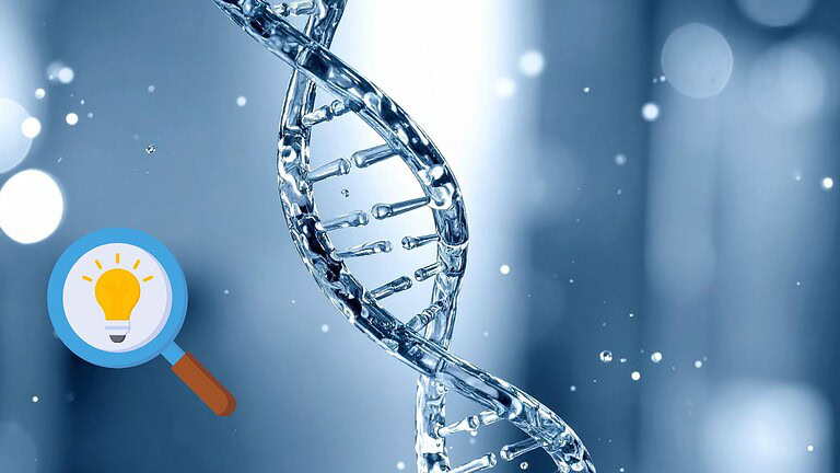 DNA: scoperto un livello segreto che regola le proteine