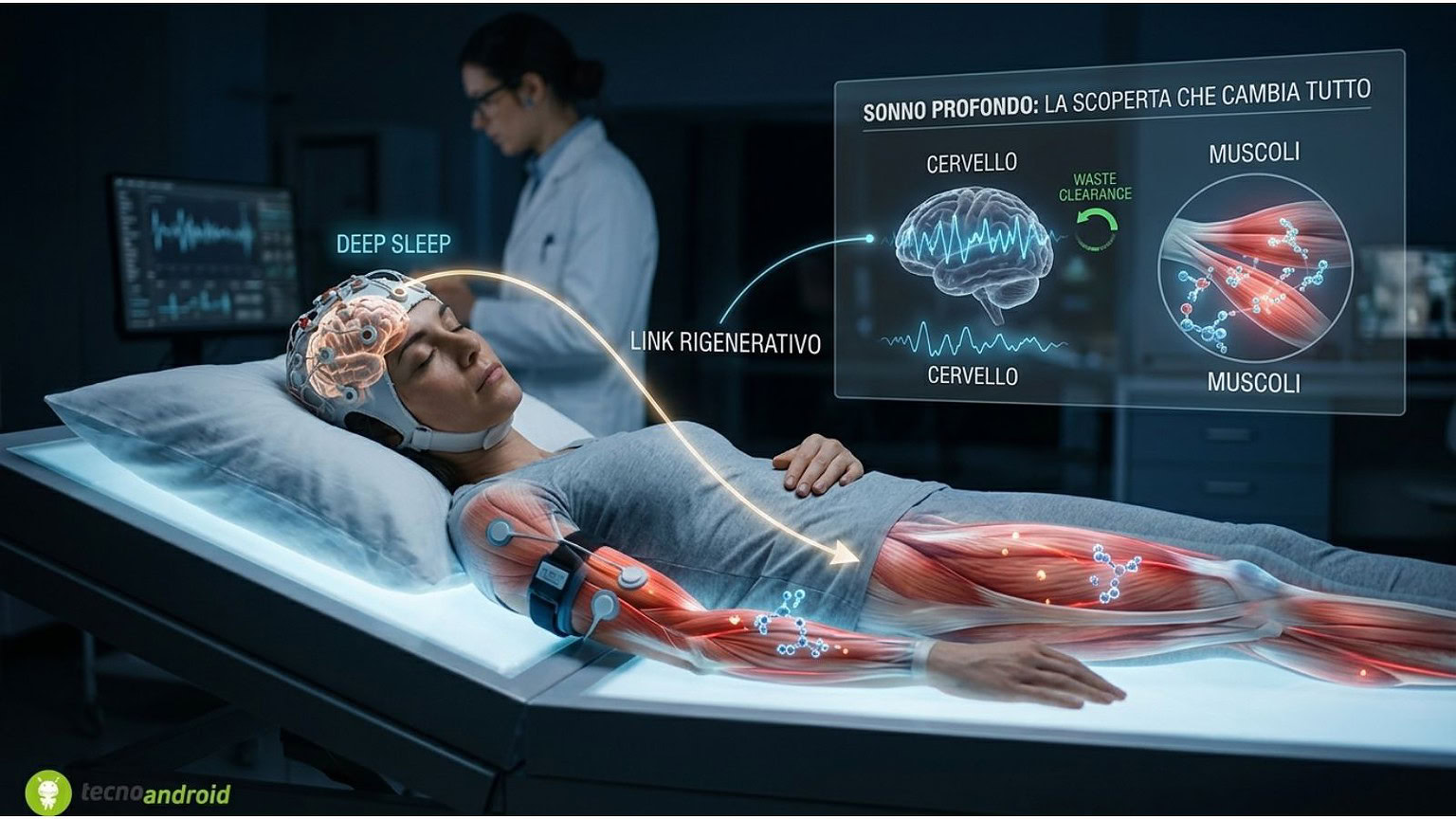 Sonno profondo: la scoperta che cambia tutto su muscoli e cervello