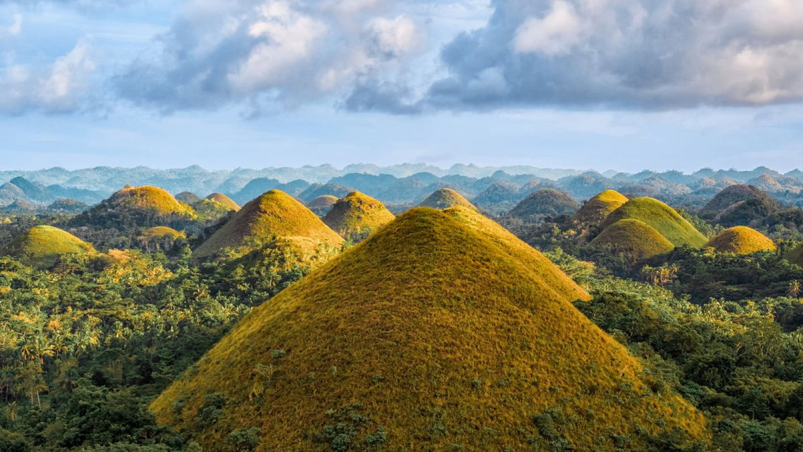 Chocolate Hills: le colline di cioccolato che non sembrano vere