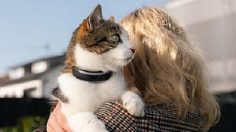 Tractive lancia i collari smart GPS con IA per cani e gatti - collari smart Tractive