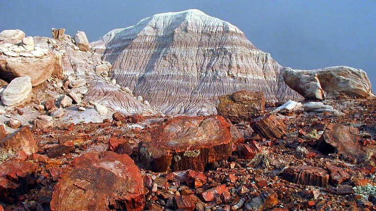 Foresta pietrificata dell'Arizona: 200 milioni di anni nella roccia - foresta pietrificata Arizona