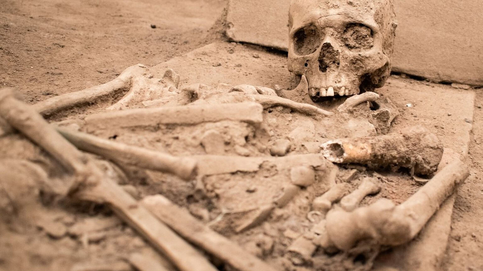 Malattie antiche: come gli archeologi le scoprono dai resti umani - malattie antiche archeologi