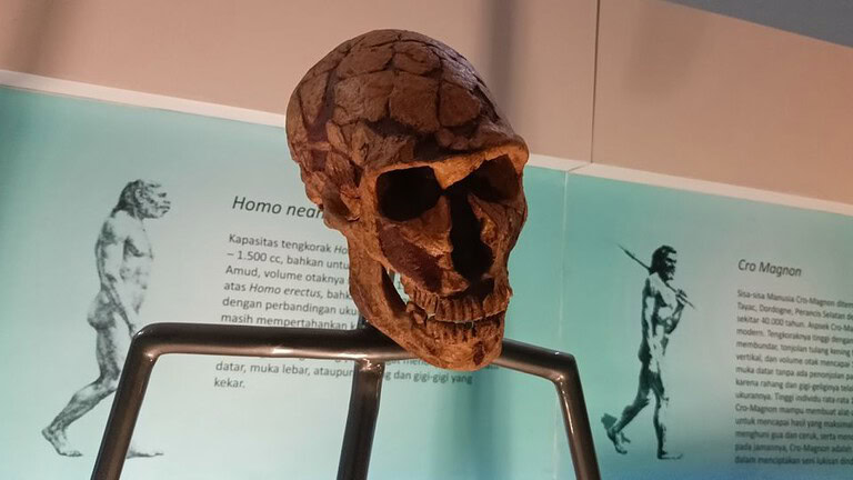 Neanderthal non erano meno intelligenti di noi: lo studio che cambia tutto - Neanderthal intelligenza