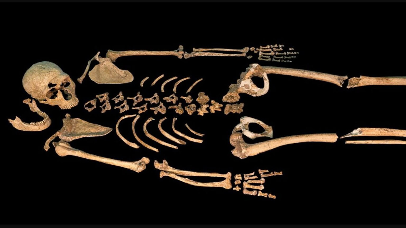 Neanderthal sepolto 40.000 anni fa in Francia: la scoperta che cambia tutto - Neanderthal sepolto Francia
