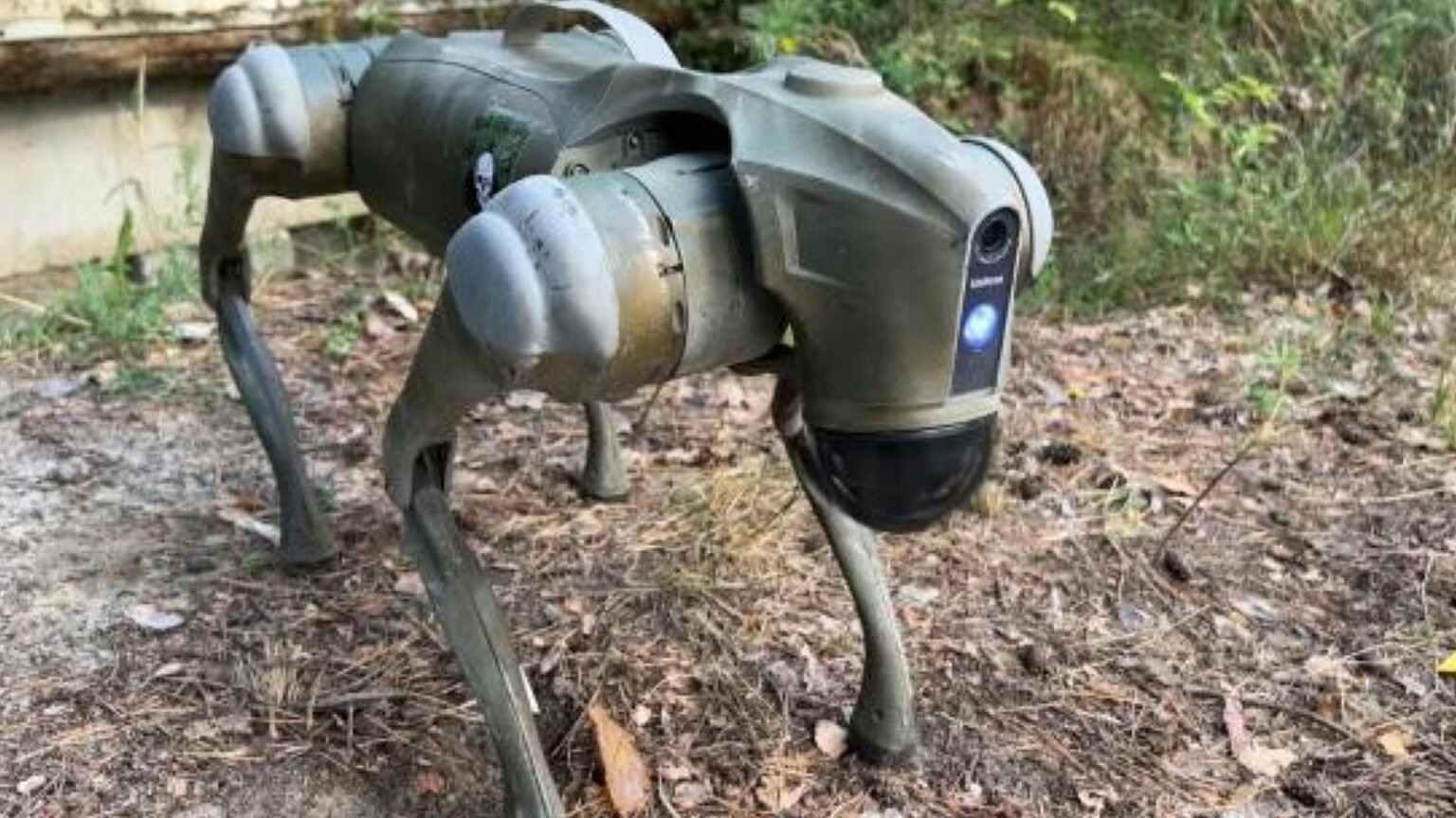robot terrestri senza pilota