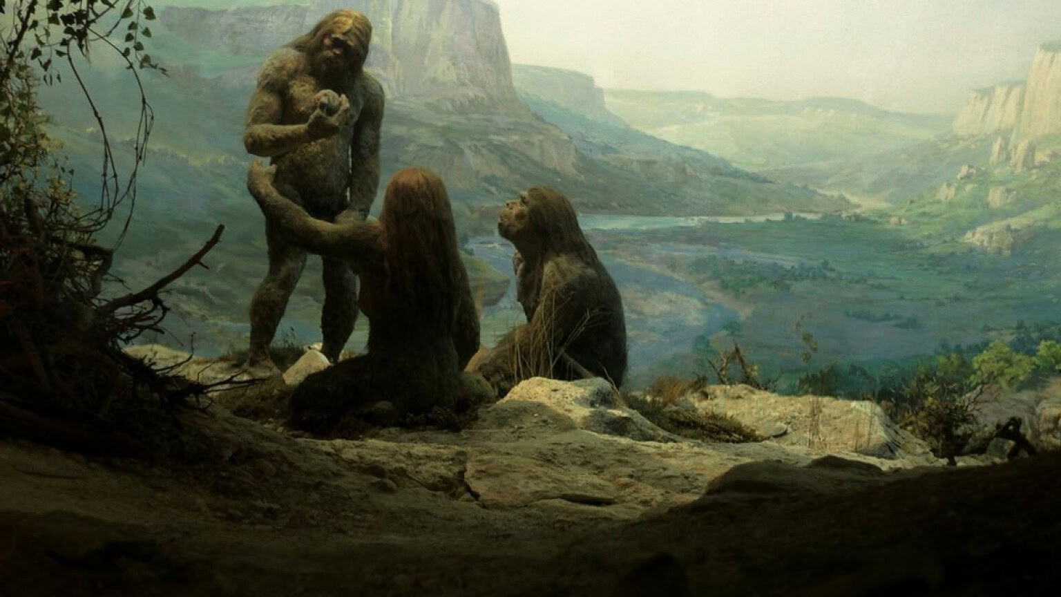 Neanderthal, la loro scomparsa potrebbe essere stata più "intima" del previsto - scomparsa dei Neanderthal