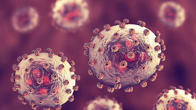 Virus Lujo: cos'è e perché spaventa così tanto gli esperti