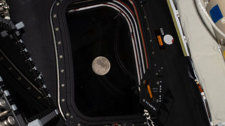 Artemis II: un cratere lunare dedicato alla moglie scomparsa del comandante Wiseman