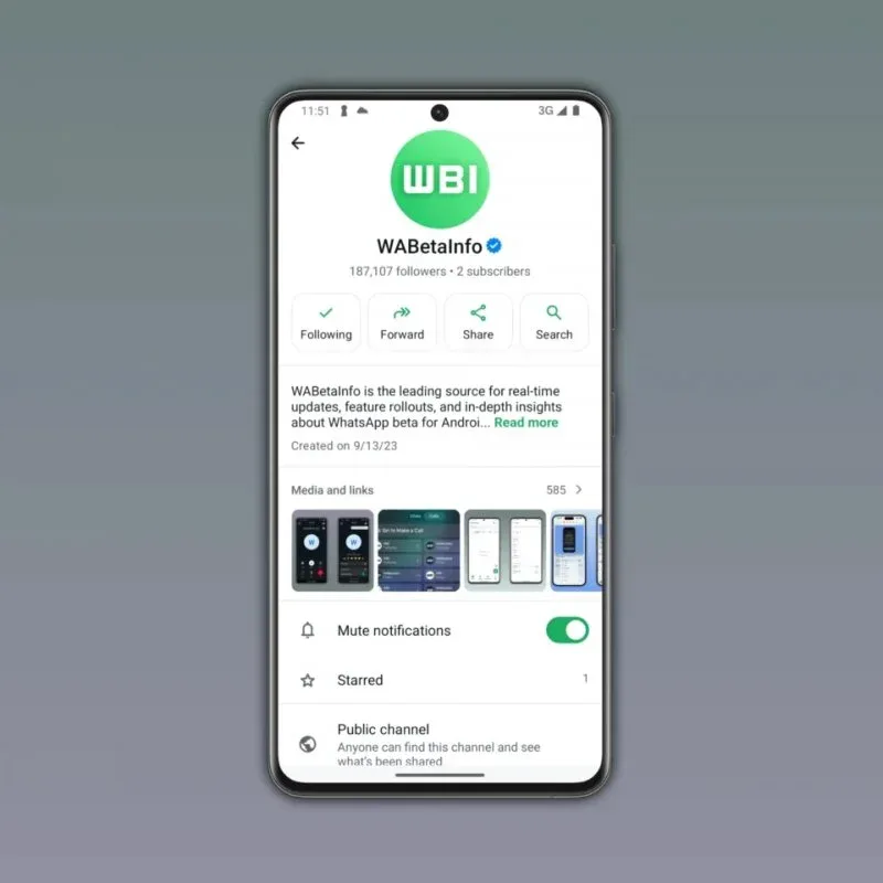 WhatsApp: in test i canali a pagamento: ecco a cosa serviranno