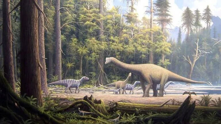 Piante e dinosauri: ecco come sono sopravvissute all'estinzione