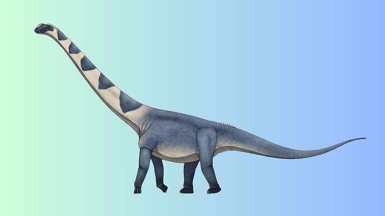 Nagatitan, il dinosauro più grande d'Asia dormiva sotto la Thailandia
