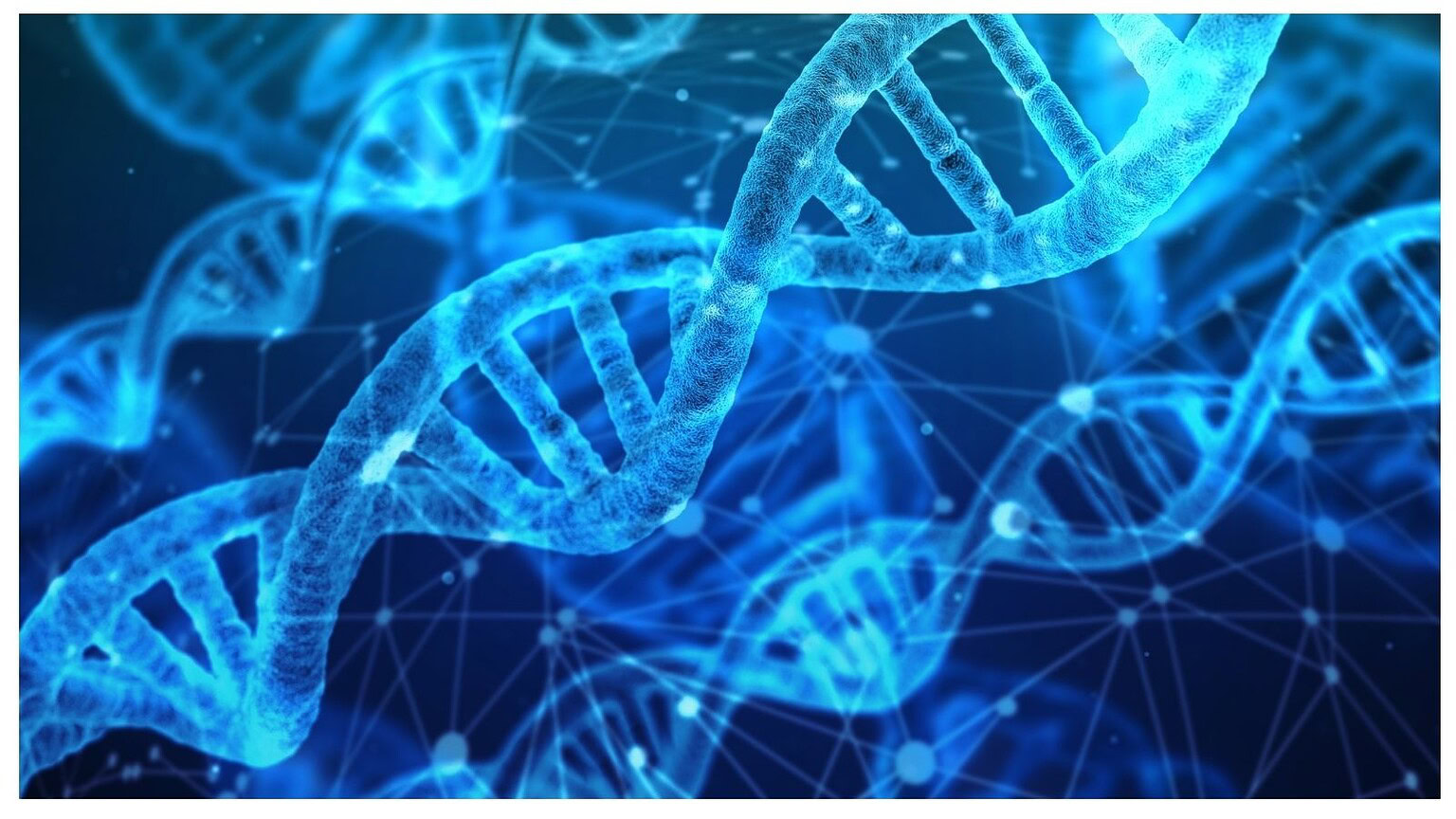 DNA microrganismo stagno