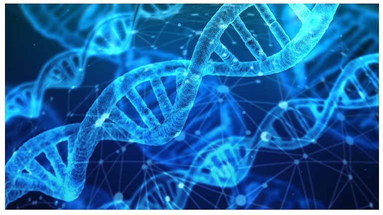 DNA microrganismo stagno