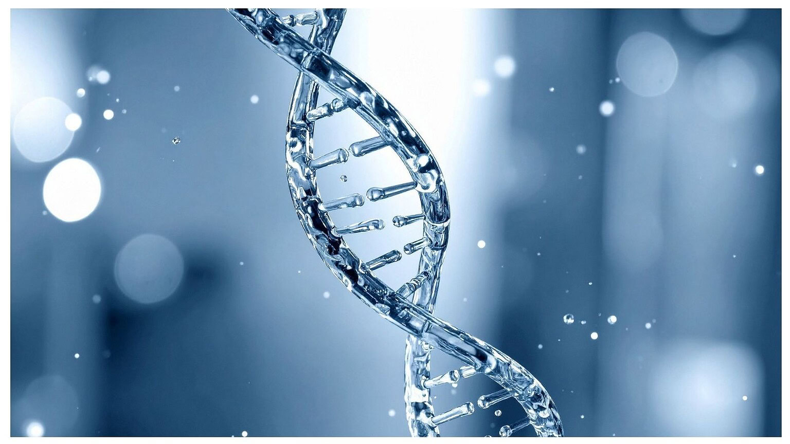 DNA successo nella vita