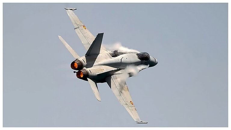 Harrier spagnolo