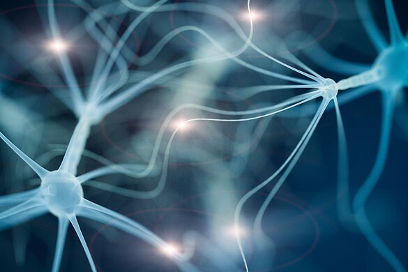 Scansione 3D del cervello 8 volte più veloce col metodo AIMED