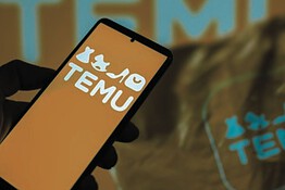 Temu multata per 200 milioni dall’UE: ecco cosa vendeva