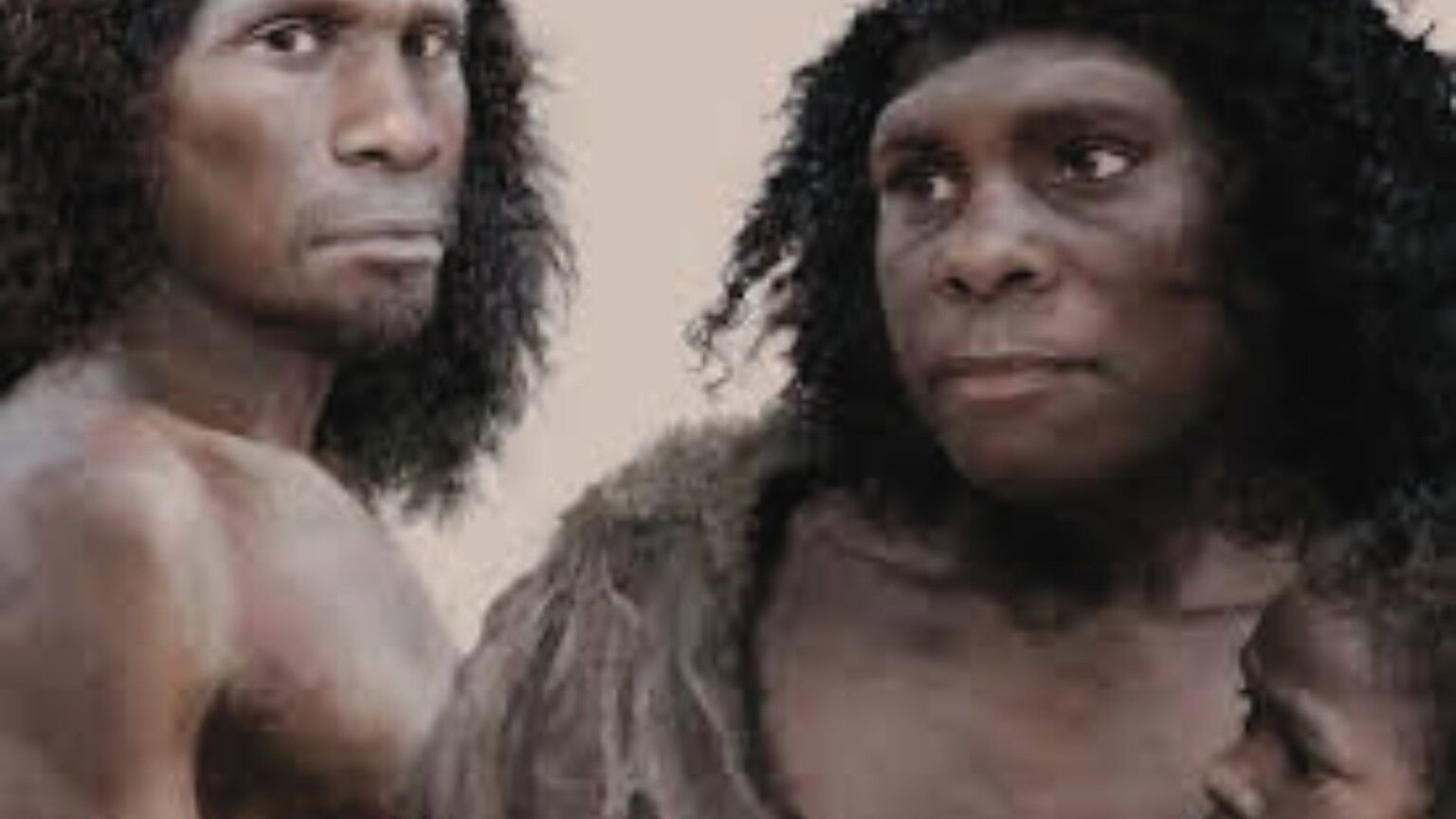 Neanderthal molluschi