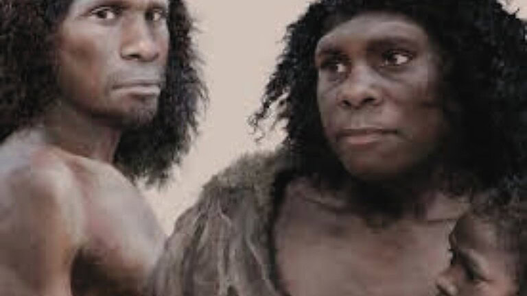 Neanderthal molluschi